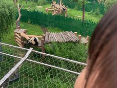 -沈阳森林动物园