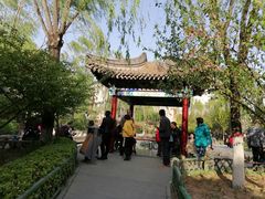 -文瀛公园