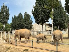 -辛玛王国游乐园