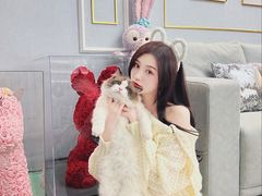 -喵百万·布偶·蓝金金渐层英短·猫舍(百子湾店)