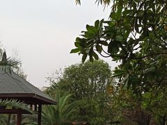 -咸宁万豪温泉谷度假区