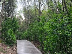 -上海佘山国家森林公园西佘山园