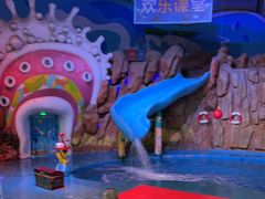 -烟台海昌鲸鲨海洋公园