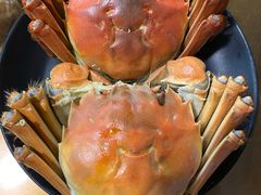 -庆合府重庆大排档(紫都城店)