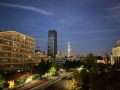 -六本木新城展望台(东京城市景观)