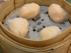 虾饺-添好运点心专门店(深水埗店)