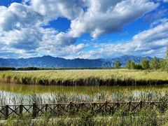 -野鸭湖国家湿地公园
