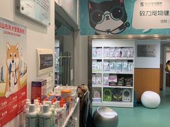 -瑞派先诺宠物医院•猫专科•普外科•中兽医(佛山院)