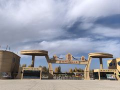 -金塔沙漠胡杨林景区