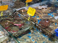 -船奇蒸汽海鲜·闽菜(八市海鲜总店)