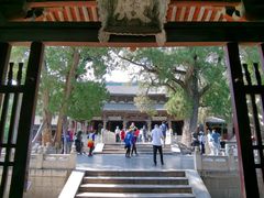 -晋祠公园