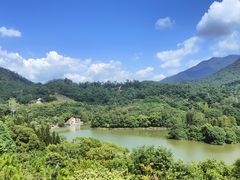 -深圳仙湖植物园