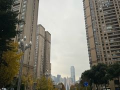 -重庆市江北嘴中央商务区中央公园