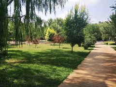 -阿尔丁植物园