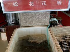 -金海椒罐罐鲢鱼(东方桂苑店)