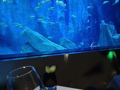 -渔火·特色餐厅(佘山世茂洲际酒店)