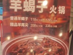 精品羊尾尖-南门小馆·清真(国贸商城店)