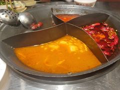 -朱光玉火锅馆(正弘城店)