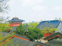-广富林郊野公园