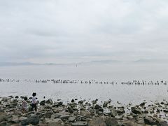 -深圳湾公园(南山区)