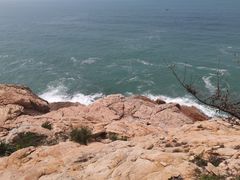 -广东惠东海龟国家级自然保护区