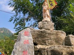 -大岭沟猕猴桃谷风景区