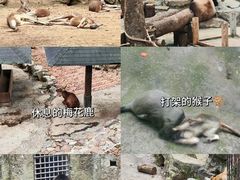 -杭州动物园