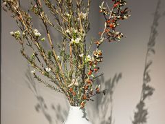 -稍可轩博物馆餐厅