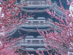 -洋湖国家湿地公园