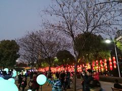 -锦江乐园舞狸花花游园会(夜场专享)
