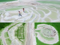 -味香林牦牛自助火锅