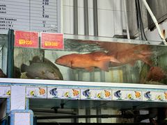 -大茄来海鲜餐厅(亚洲城分行)