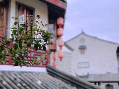 -龙潭水乡