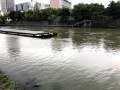 -运河游船(武林门码头)