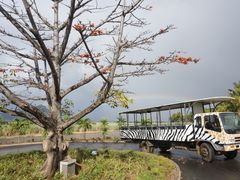-卡塞拉自然公园