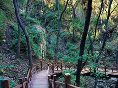 -大岭沟猕猴桃谷风景区