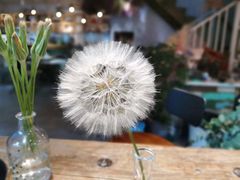 -花十悦·鲜花咖啡餐厅(振业城一期店)