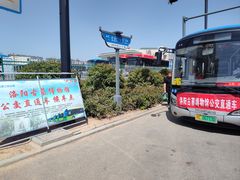 -洛阳古墓博物馆