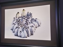 -罗红摄影艺术馆