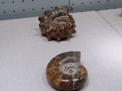 -辽宁古生物博物馆