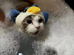 -听TA说宠咖·宠物生活馆(天韵水岸店)