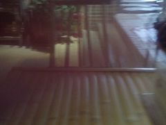 android_upload_pic-惠州西湖