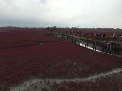 -红海滩国家风景廊道