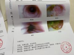 -北京观赏动物医院·24小时大型综合·猫专科·异宠专科