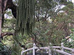 -人民公园(罗湖区)