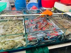 -兴隆华侨农场