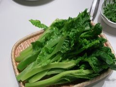 凤尾-蜀九香火锅(彩虹店)