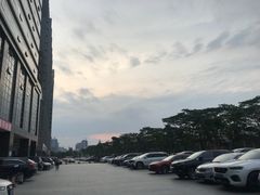 -西贝莜面村(东莞壹号广场店)