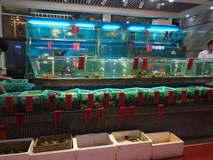 水产区-海大大蒸汽海鲜餐厅·粤菜·特色小炒(欢乐颂店)