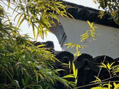 -上海醉白池公园